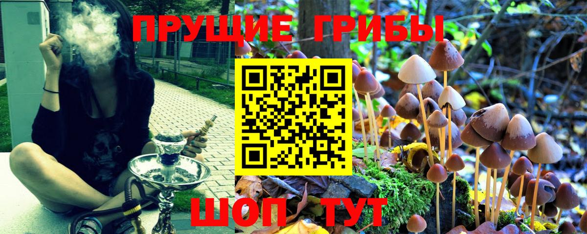 Псилоцибиновые грибы Psilocybine cubensis  Псилоцибиновые грибы Magic Shrooms  Киселёвск  Вход с VPN 